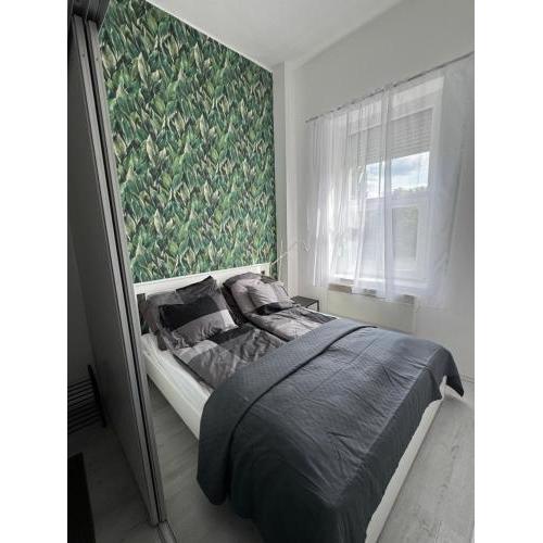 Arion Apartman