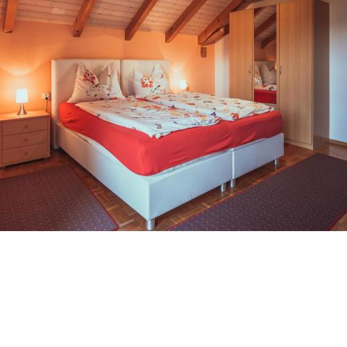 Armonia Altach, 2-6 P, 2 Schlafzimmer, Küche, Parkplatz, Balkon, Wifi, Garten, Stellplatz für Ski