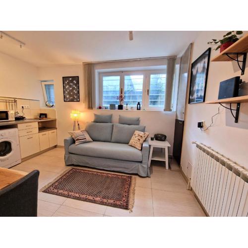Artistic Apartment in Center