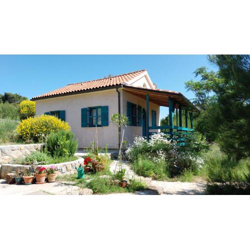Arya House