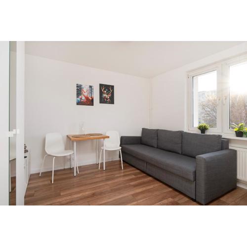 Atlas Arena Comfort Studio