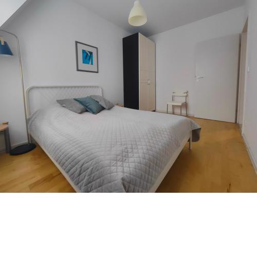 Attic 4685