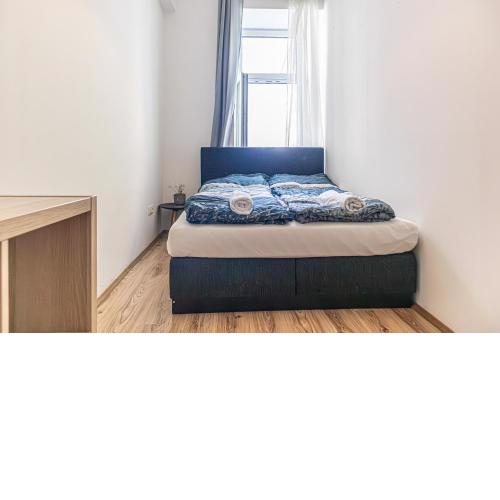 Attractive 1BR and 1 LR Apt Comfortable Design, Great Location