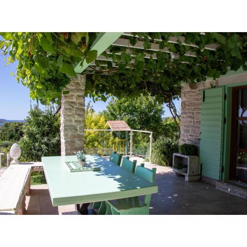 Authentic Dalmatian Treasure Homes