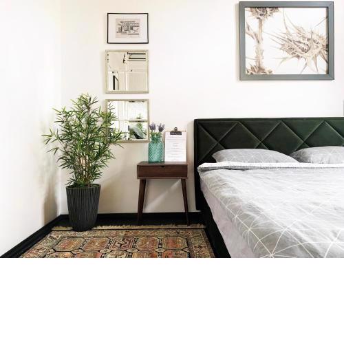 Avenue Apartments