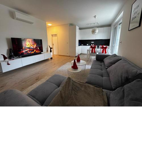 BA Apartment with free garage parking, huge outside area