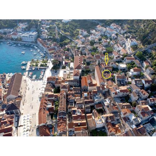 Baby Blue - ZF Hvar