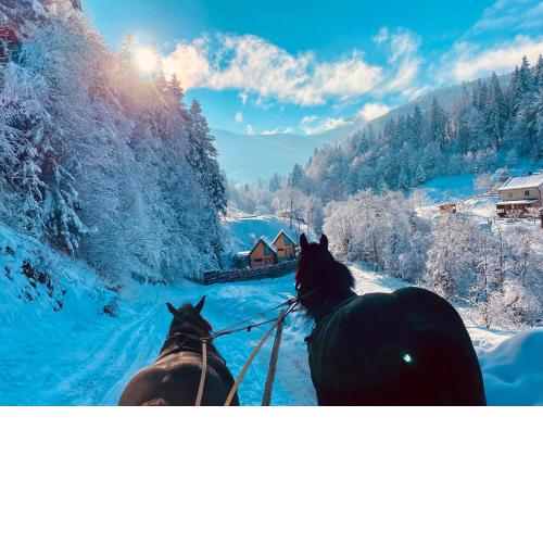 BagriWood Lodges (Лоджі БагріВуд)
