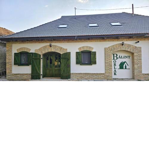 Bálint Borlak
