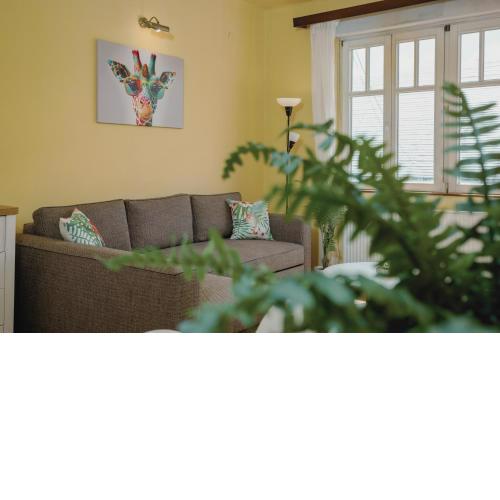 Balzac central nice apartment