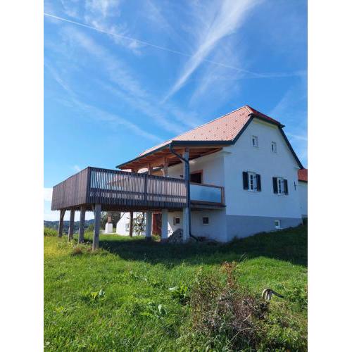 Baronigg Weingartengut