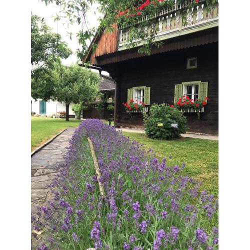 Bauernhaus Südsteiermark - Weststeiermark, Weinstraße, Radfahren, E-Bike, Feiern mit Familien & FreundInnen