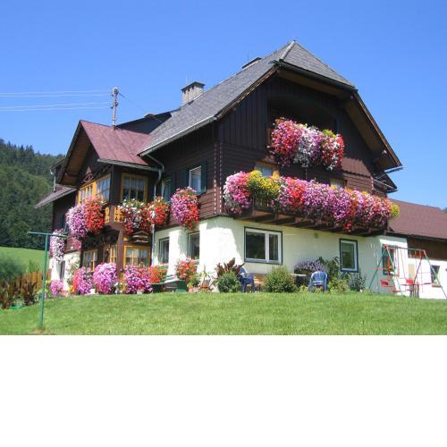 Bauernhof Haim-Schnepfleitner