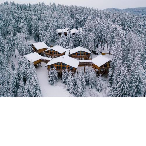 Baumhotel