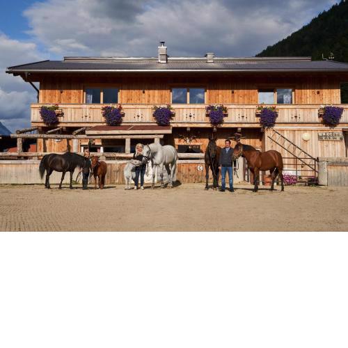 B&B Margit's Ranch Urlaub am Pferdehof