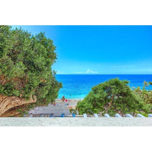 Beach Dream Apartments