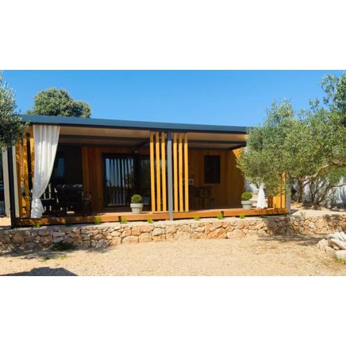 Beachfront Bliss - Vortex4BB
