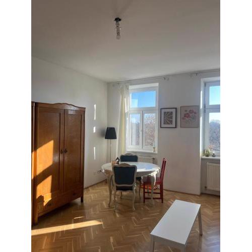 Beautiful flat overlooking a great park