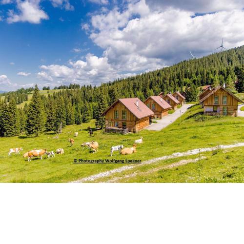 Beautiful Holiday Home in Weinebene with Sauna