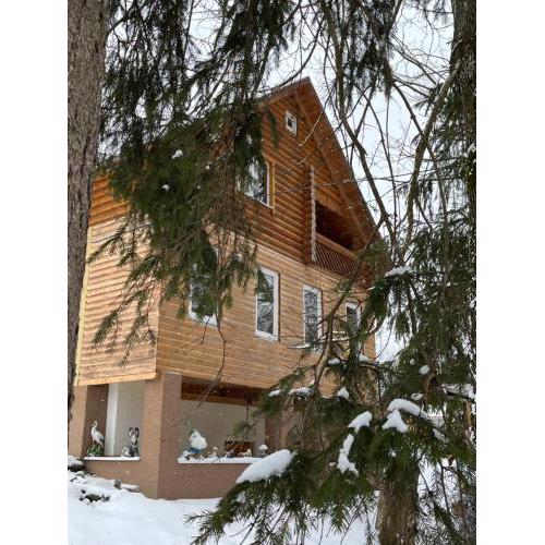 Beautiful house