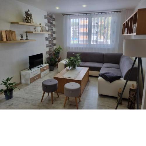 Beautiful modern decorated flat