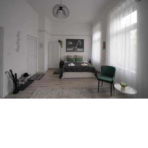Beautiful newly refurbished studio,fully equipped apartment walking distance to the City Park where you will find the world famous Szechenyi thermal bath spa, Museums , and the Capital Circus , AC, smart TV, high speed internet