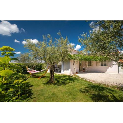 Beautiful Villa GF25 with pool in Visnjan