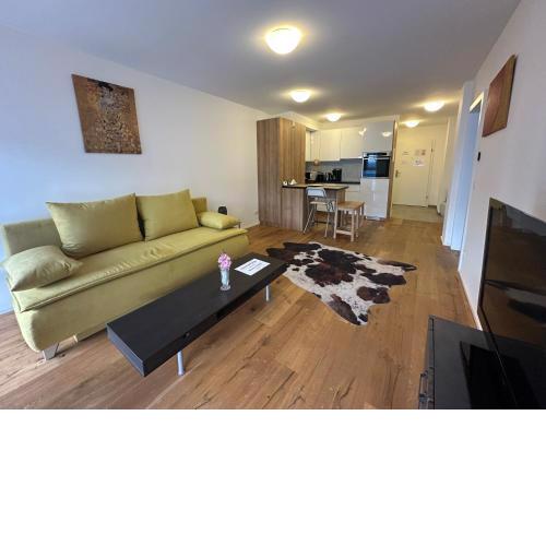 Beauty Apartment Erlachgasse