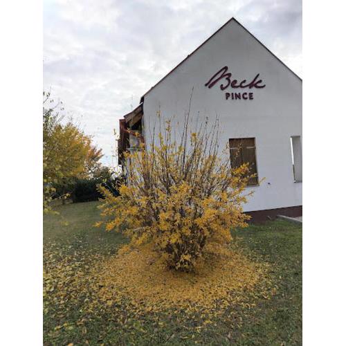 Beck Pince
