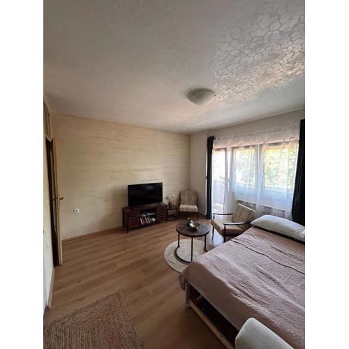 BelleVu studio apartman