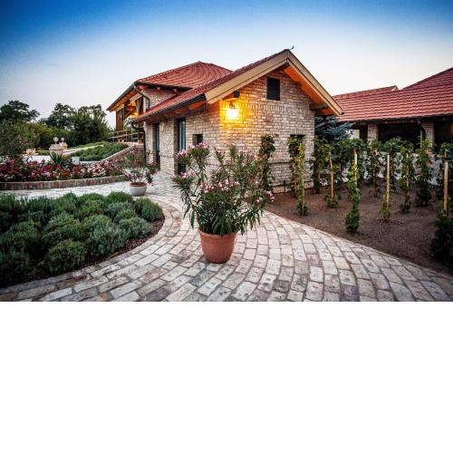 BÉNI family wine farm