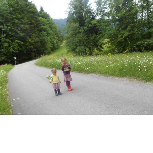 Berghof Vöglerbrand