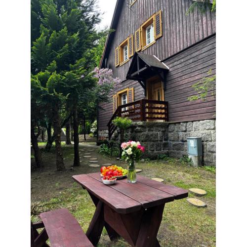 Biały Jar Ski & Bike Apartamenty w Karpaczu przy wyciągu z widokiem