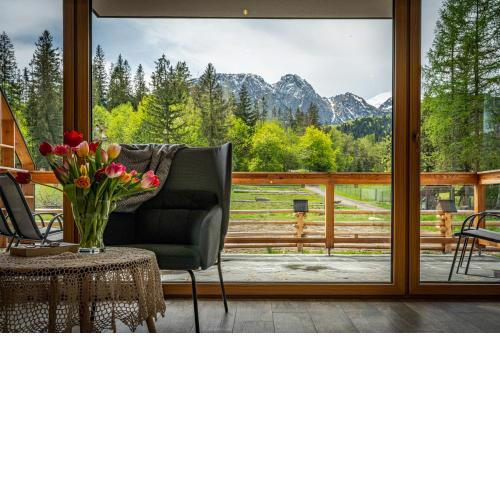 Biały Miś Apartamenty Art & Design