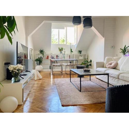 Big, bright apartment in the center of Zagreb
