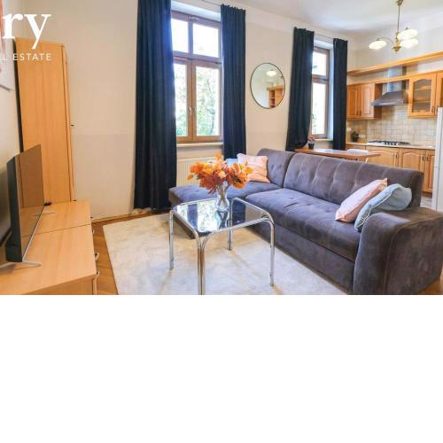 Big cozy apartment Free 1 parking