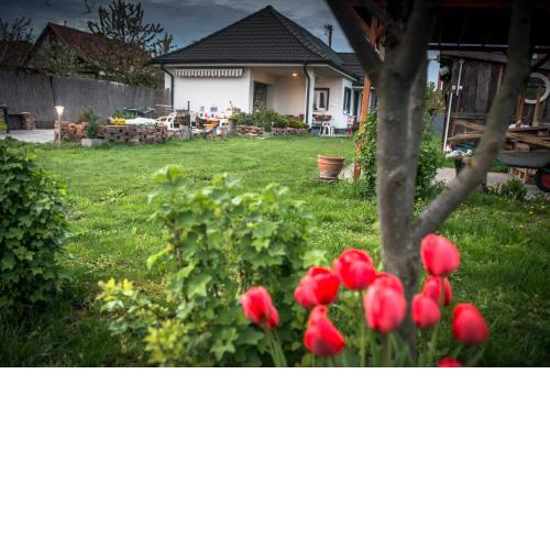 Big Garden House