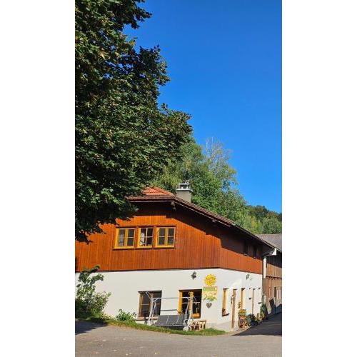Bio-Schafbauernhof-Kölbel