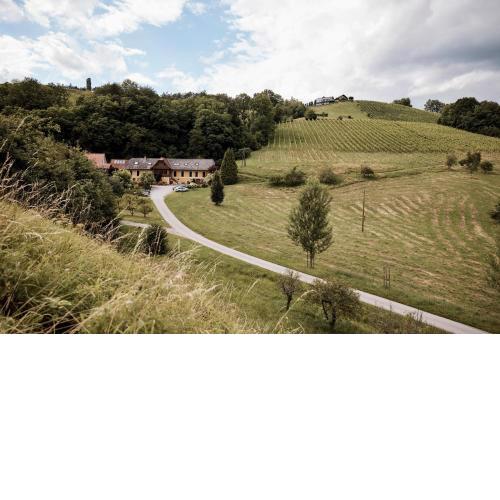 Bio Weingut Matthias Schnabl