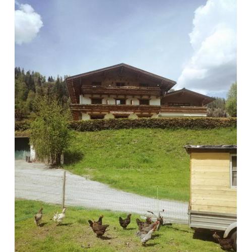 Biobauernhof Habersatter