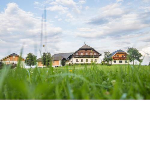 Biohof Poinsitgut