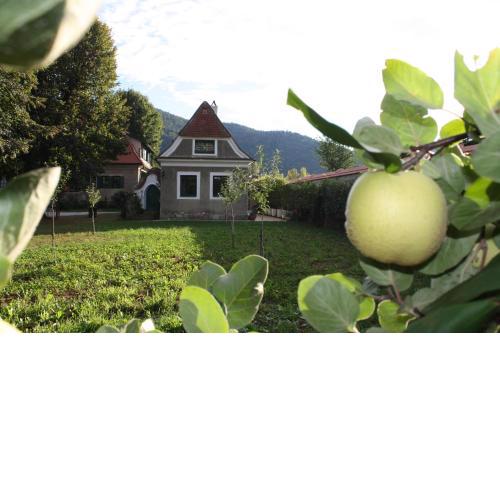 Bioweingut Schmidl Rosenstöckel