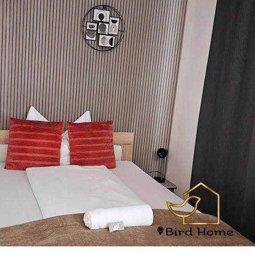 Bird Home Room 11