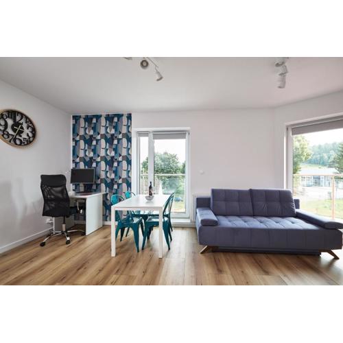 Blue Apartament & Office Kudowa-Zdrój