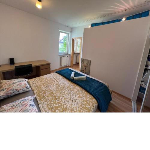 Blue City Entire Flat
