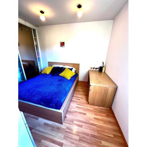 Blue City Flat
