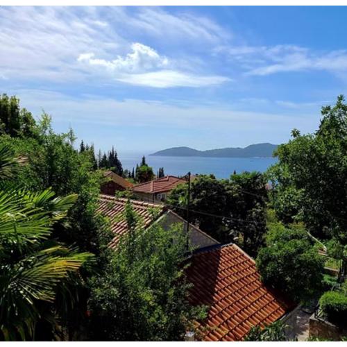 Blue Horizon Bird s eye View