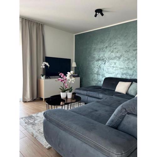 Blue Manor Apartment