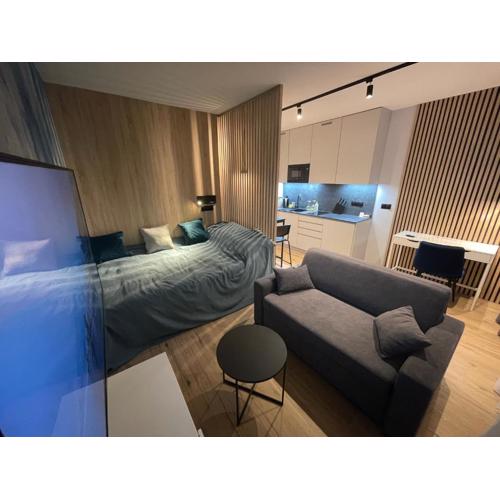 Blue River Apartment - Wrocław