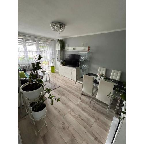 BM Apartament